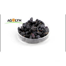 Chinese seedless Sour Sweets Black Raisin  Fruit